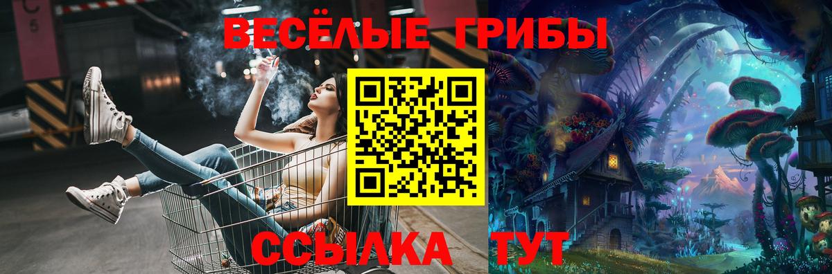 Псилоцибиновые грибы Magic Shrooms  Вход с VPN  Казань  Галлюциногенные грибы Cubensis 